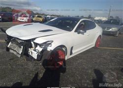 کیا ستینگەر